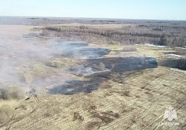 Площадь выгоревшей из-за палов земли в Смоленской области увеличилась до 20 га