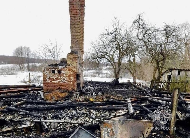 Утренний пожар в Смоленском районе унес жизнь человека