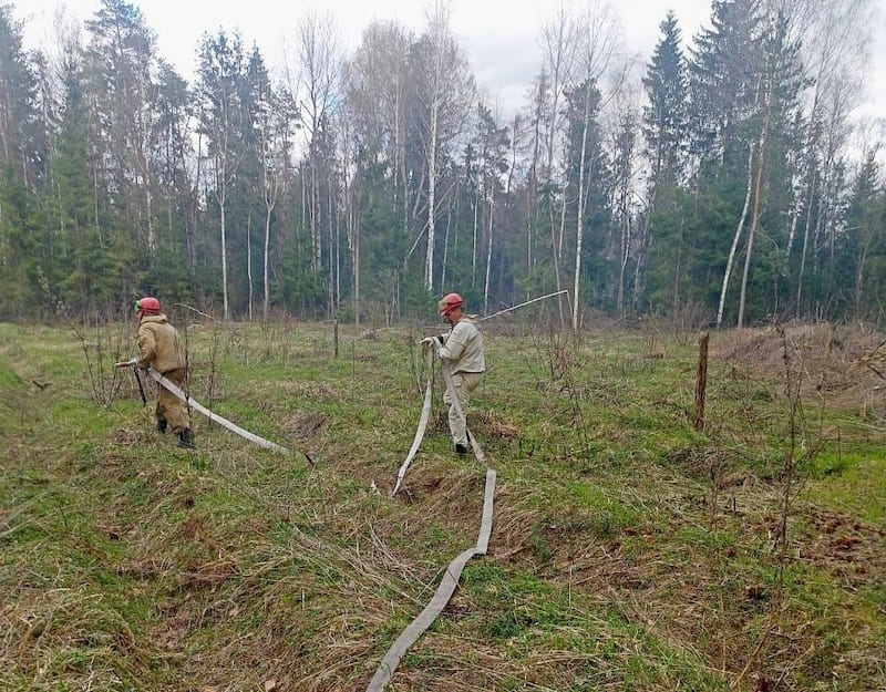 В Смоленской области лесной патруль обнаружил пожар