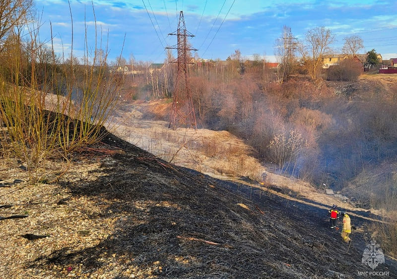 В Смоленской области поджигателей сухой травы оштрафовали на 100 тысяч рублей