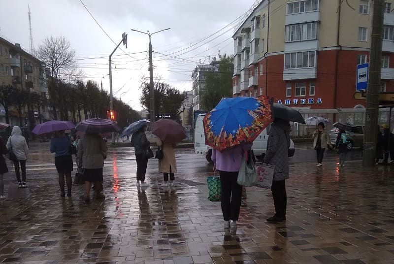 Рабочая неделя в Смоленской области завершится ненастьем и штормовым ветром