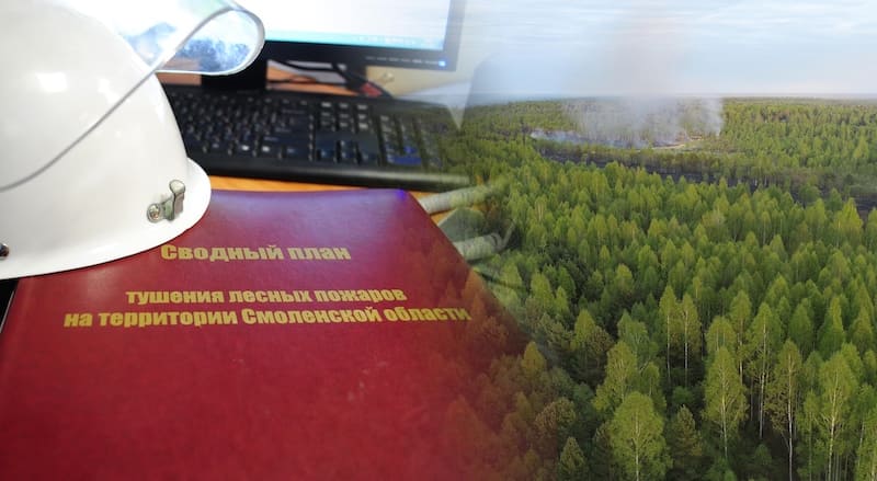 Василий Анохин утвердил сводный план тушения лесных пожаров в Смоленской области