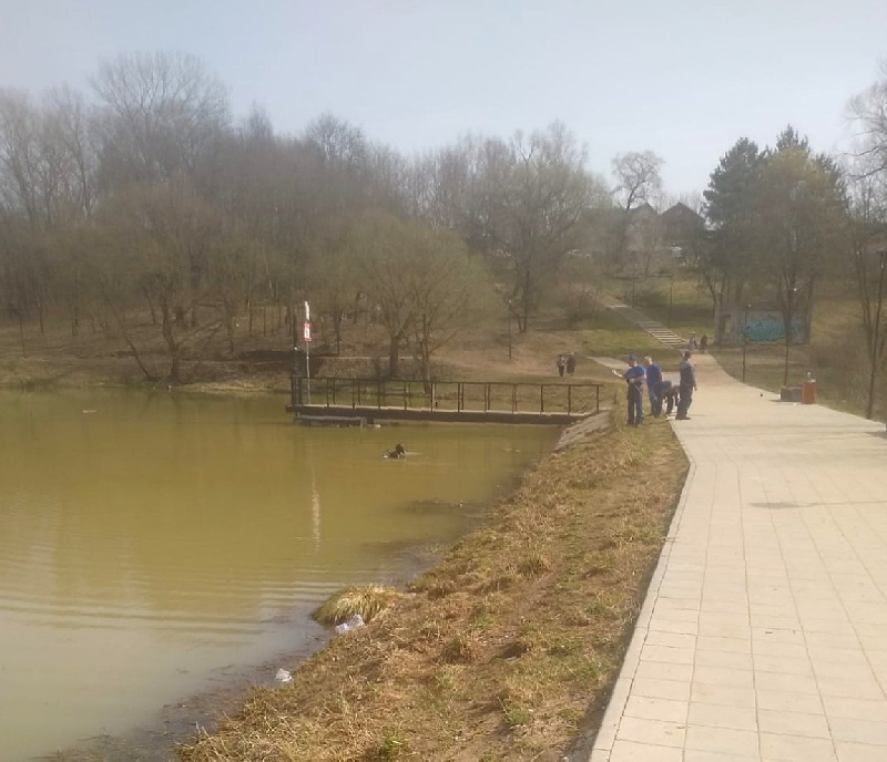 Волонтеры отряда «ДобротворецЪ» подключились к поискам смолянки в Солдатском озере