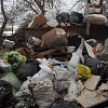 Куча растет... В Смоленске в Садках вторую неделю не убирают мусор