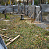 Строители самовольно срубили 29 деревьев в парке 1100-летия Смоленска