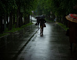 В субботу в Смоленской области сохранится дождливая погода