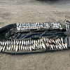 В Смоленской области двое рыбаков-браконьеров проигнорировали все запреты