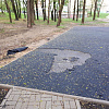Смоленские активисты ОНФ просят «доремонтировать» парк и дворы