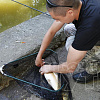 В Смоленске второй раз в этом году прошел  «День Рыбака»