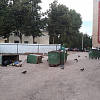 В Смоленске хулиганы опрокинули мусорный бак на иномарку