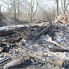 В Смоленской области из-за пала травы сгорели две деревни