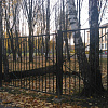 В Смоленске упавшее дерево сломало школьный забор