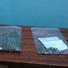 «Конопля в лесу». Смоленские полицейские задержали ярцевчанина, вырастившего 3,5 кг наркотиков