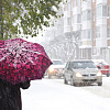 В Смоленск пришел снежный апокалипсис (фото)