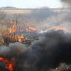 В Смоленской области начал действовать особый противопожарный режим