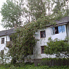 В Смоленской области упавшее дерево проломило крышу жилого дома
