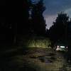 В Ярцево дерево упало на машину и оборвало провода