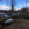 Упавшее дерево разбило два автомобиля в Смоленском районе