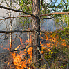 Пять гектаров горящих торфяников в Смоленской области тушили несколько часов 