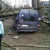 В Смоленске дерево упало на микроавтобус