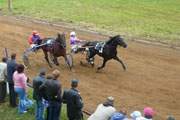 В минувшую субботу в Дорогобужском районе прошел конно-спортивный праздник «Алексинские бега»