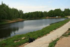 Разрешат ли смолянам купаться в Реадовском озере