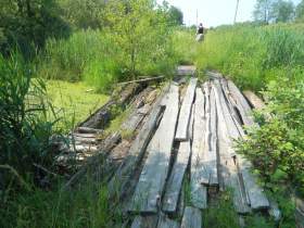 Смоленская область: Память в болоте не утопишь