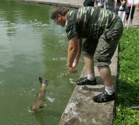 В пруд Лопатинского сада выпустили рыб