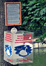 В Смоленске начали собирать деньги на содержание лебедей в «Лопатинском саду»