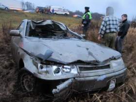 В Смоленской области в ДТП с лосем пострадал водитель
