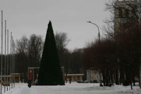 Каток на площади Ленина подвинет новогоднюю елку