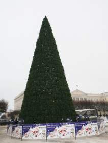 На площади Ленина установили главную елку Смоленска