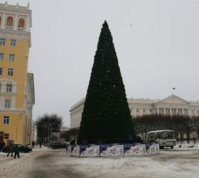 Главную городскую елку Смоленска разберут после холодов