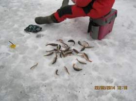 В Смоленской области соревновались рыбаки