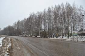 Березовую рощу в поселке Вишенки в Смоленске не отдали под застройку
