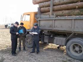 "Черные лесорубы" вырубили лес на 2,24 млн рублей