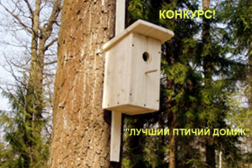 Дом культуры микрорайона Гнездово объявил конкурс «Лучший птичий домик»