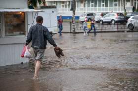 28 мая за один час в Смоленске выпало 75% месячной нормы осадков