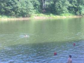 В Смоленске в Реадовском озере утонул мужчина