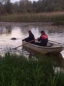 В озере Белоручье в Починковском районе утонул мужчина