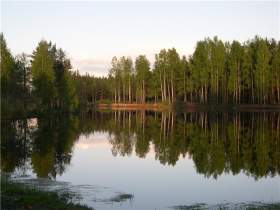 С начала купального сезона в водоемах Смоленской области утонули семь человек