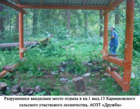 В Смоленской области активизировались «лесные» вандалы