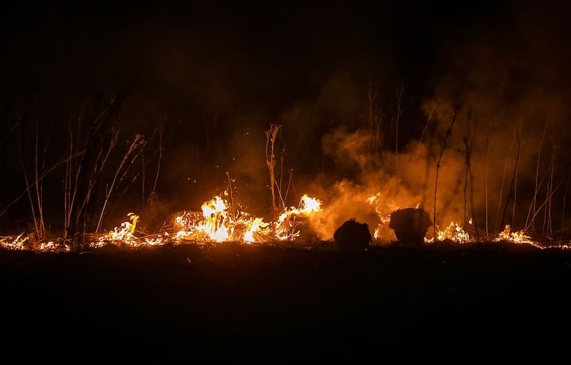 В Сычевском районе Смоленской области ввели особый противопожарный режим