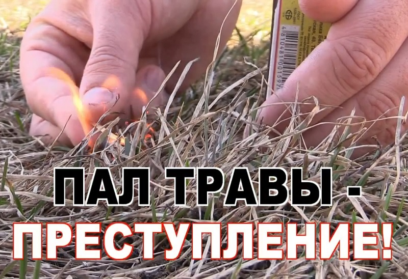 В Смоленской области зарегистрировали еще два пала травы