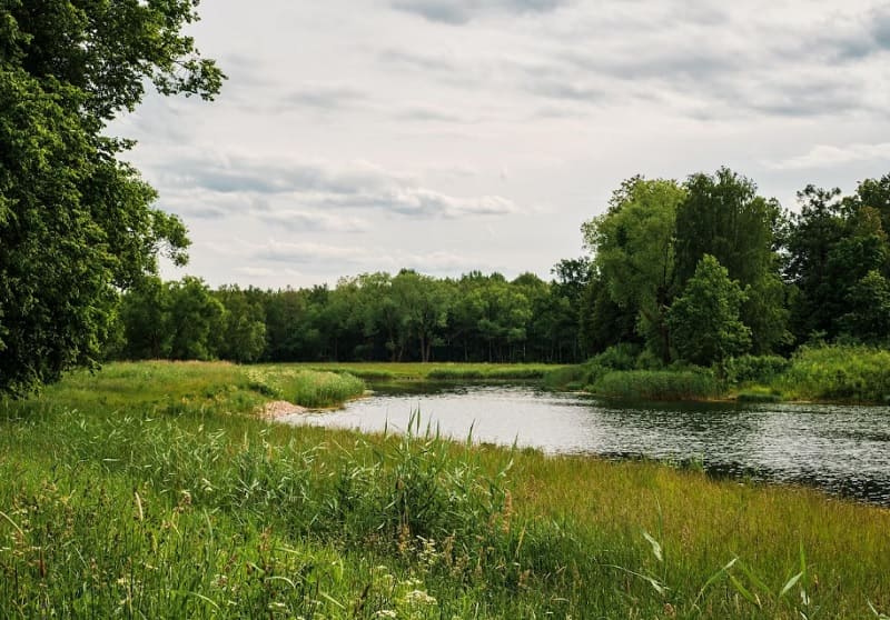 В Смоленской области установят природоохранные зоны на реке Угра