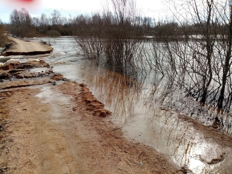 В Смоленской области размыло дорогу