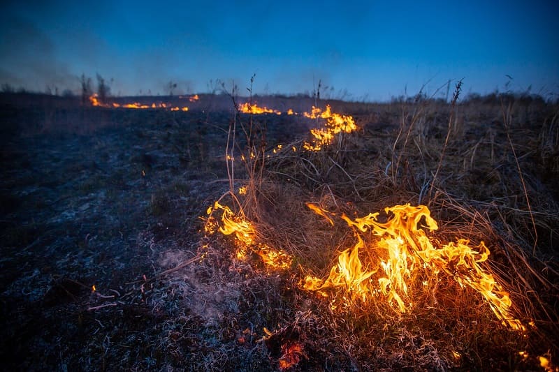 В Смоленской области почти 100 раз за этот год горела сухая трава 