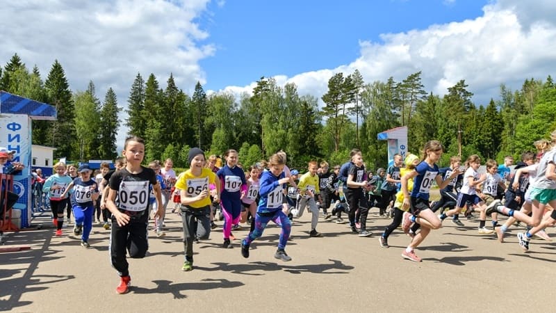 В национальном парке «Смоленское Поозерье» пройдет шестой легкоатлетический забег «Бежим за зубров»