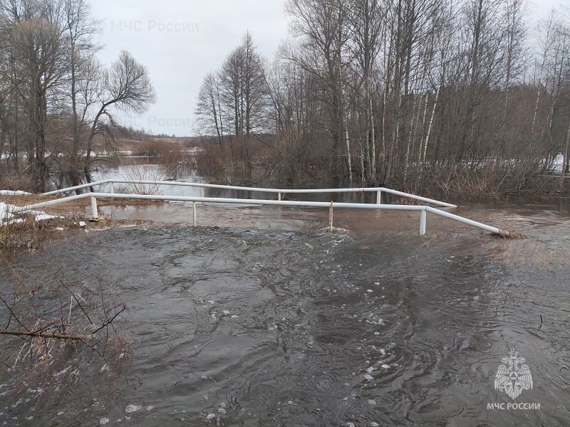 В Смоленской области снова затопило мост