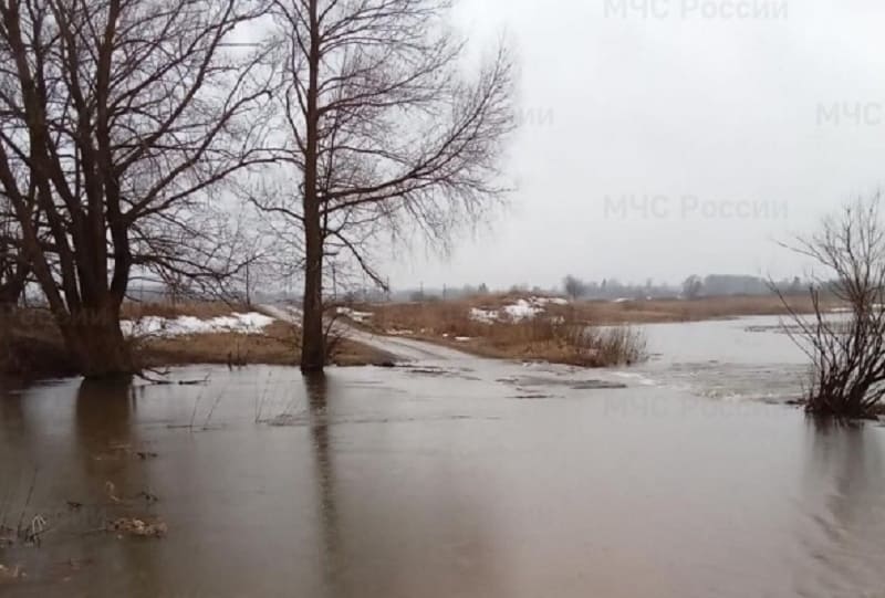 Вода прибывает: как изменилась ситуация с паводком в Смоленской области за день 
